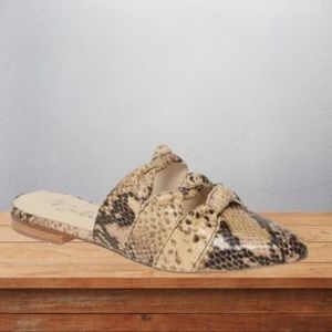 𝅺MATISSE On Course Snakeskin Embossed Mules Size 7